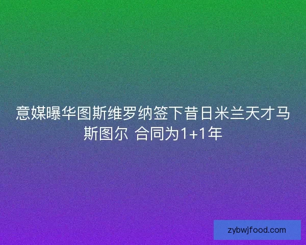 意媒曝华图斯维罗纳签下昔日米兰天才马斯图尔 合同为1+1年