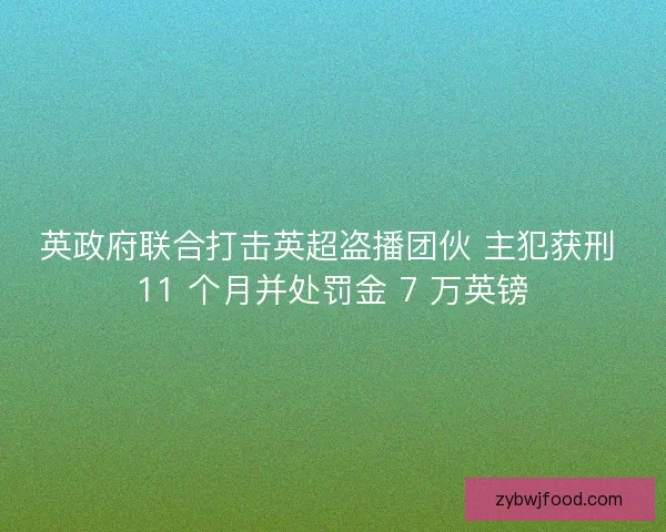 英政府联合打击英超盗播团伙 主犯获刑 11 个月并处罚金 7 万英镑