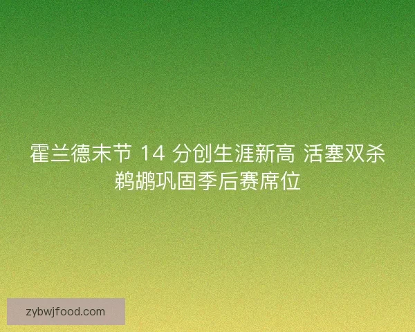 霍兰德末节 14 分创生涯新高 活塞双杀鹈鹕巩固季后赛席位