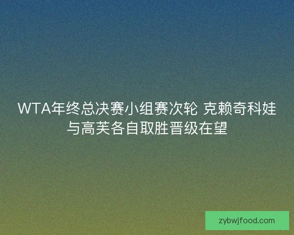 WTA年终总决赛小组赛次轮 克赖奇科娃与高芙各自取胜晋级在望 WTA年终总决赛小组赛次轮 克赖奇科娃与高芙各自取胜晋级在望