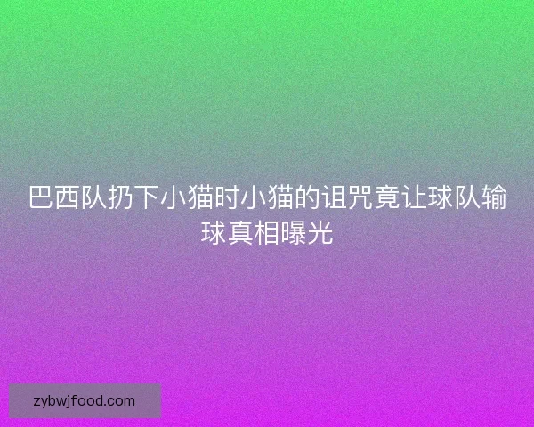 巴西队扔下小猫时小猫的诅咒竟让球队输球真相曝光