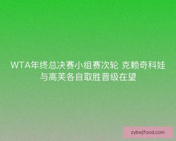WTA年终总决赛小组赛次轮 克赖奇科娃与高芙各自取胜晋级在望