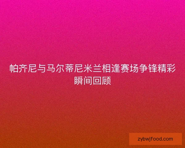 帕齐尼与马尔蒂尼米兰相逢赛场争锋精彩瞬间回顾