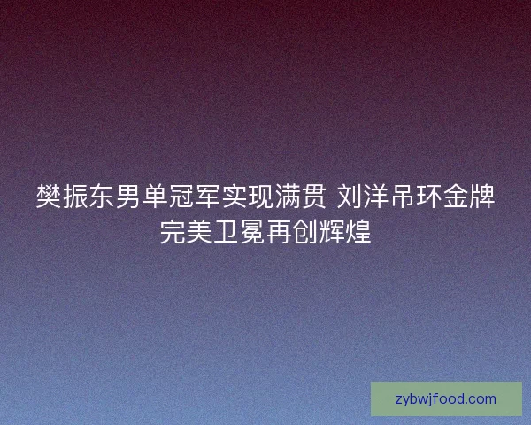 樊振东男单冠军实现满贯 刘洋吊环金牌完美卫冕再创辉煌 樊振东男单冠军实现满贯 刘洋吊环金牌完美卫冕再创辉煌